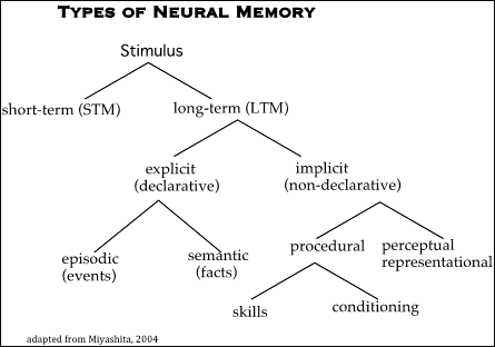 Taxonomy of memory 