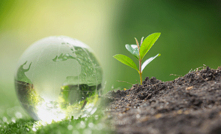 Advances in Earth and Environmental Science