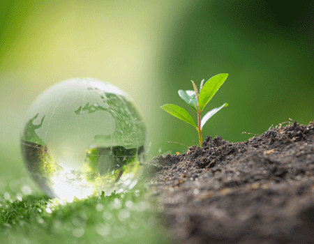 Advances in Earth and Environmental Science